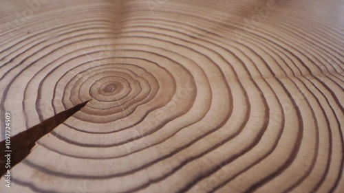 This close up shot of treerings was captured with a probe lens on a moving slider. A wood disk was spun while the camera captured the yearrings from the slider. photo