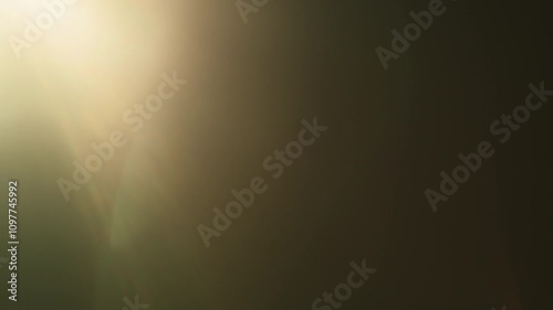 Real lens flare with strong sun backlight and light leaks