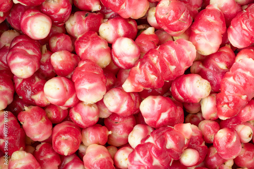Oca de Peru 