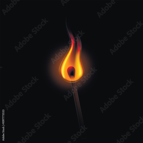 A match burns in the dark. A lit match on a dark background.