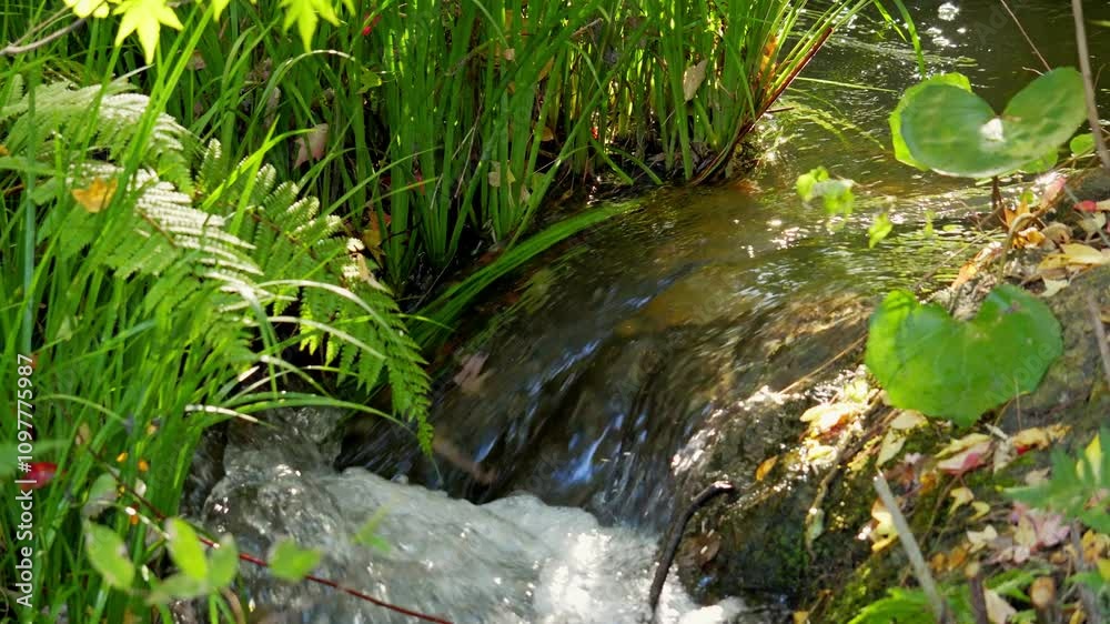 Small cascading waterfall in the forest Small cascading waterfall in the forest
