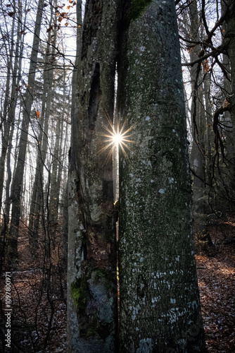 Seasonal natural scene, Kremnica Mountains, Slovakia photo