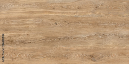 Textures of Wood,