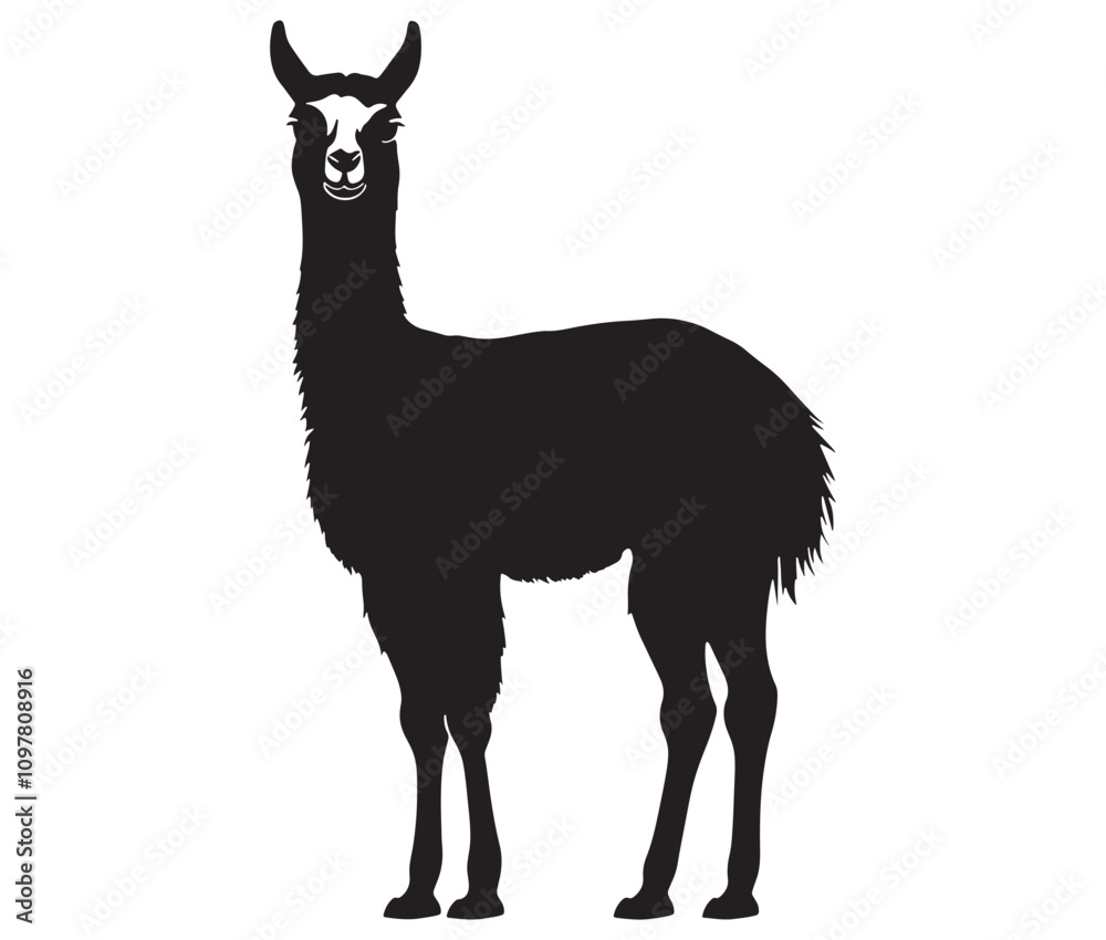 Fototapeta premium llama cartoon illustration vector design, Minimalist llama silhouette icon