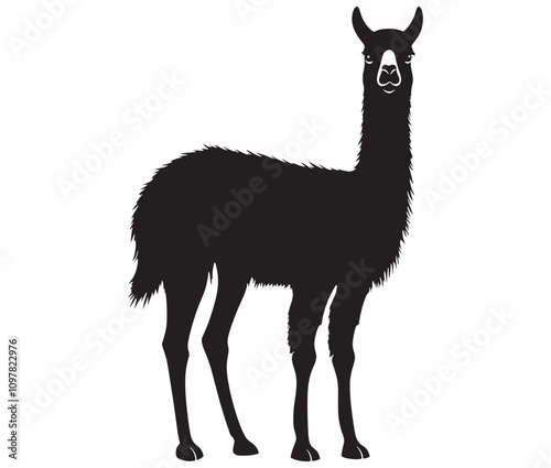llama cartoon illustration vector design, Minimalist llama silhouette icon