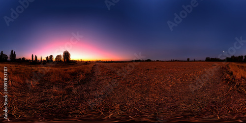 Full Spherical tone-mapped HDRi panorama of moved straw covered agricultural field at night with sunset afterglow in clear blue sky in equirectangular projection photo