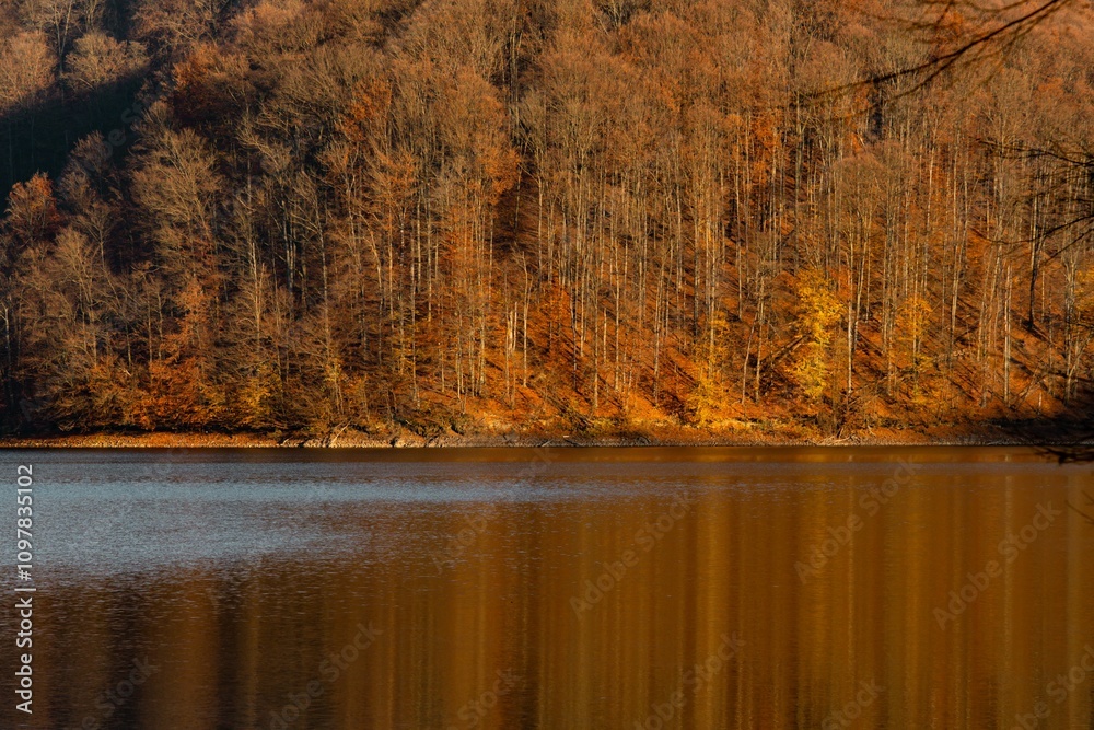 Fototapeta premium Serene forest lake with autumn reflections