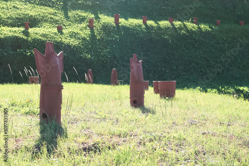 秋の埼玉県行田市埼玉古墳群	 photo