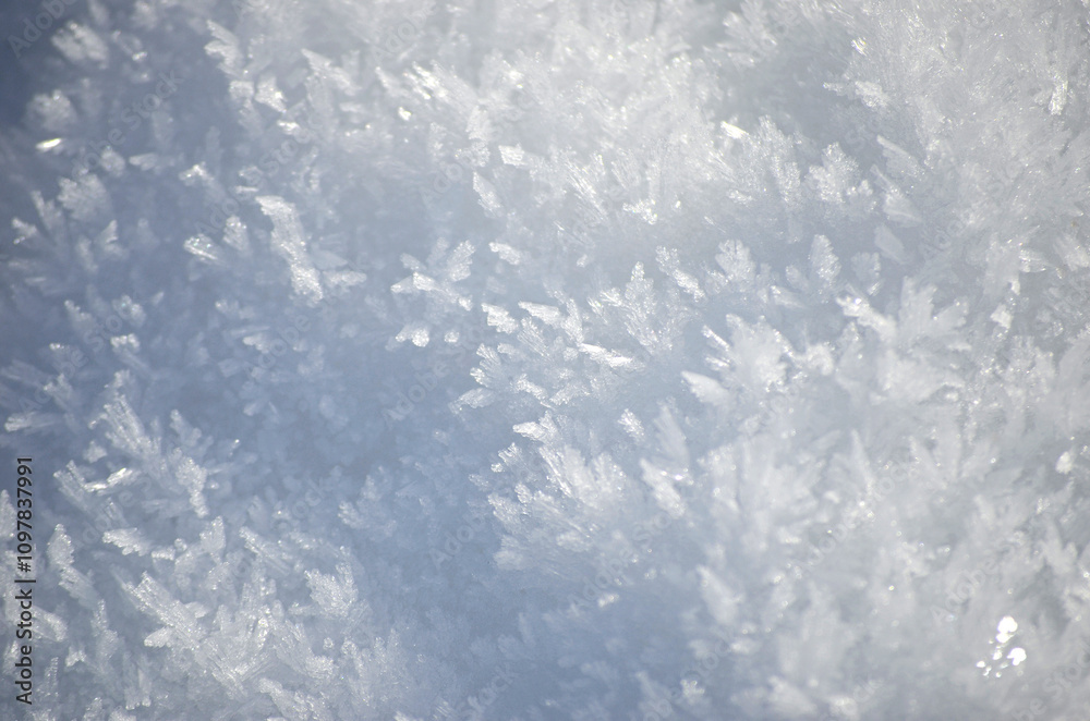 Fototapeta premium Eis und Schnee