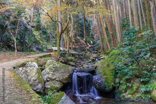 五宝滝公園の散策路（岐阜県加茂郡八百津町） photo