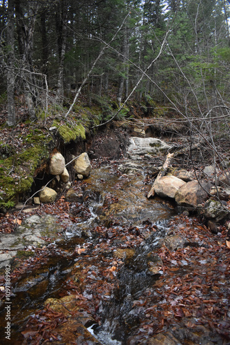 Wallpaper Mural Sentier National St Mathieu Du Parc Torontodigital.ca