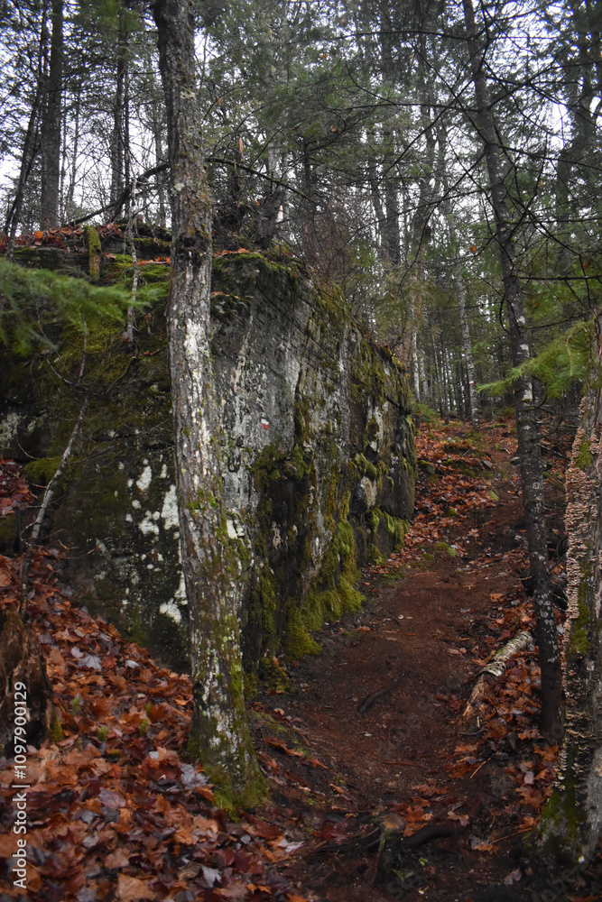 Fototapeta premium Sentier National St Mathieu Du Parc