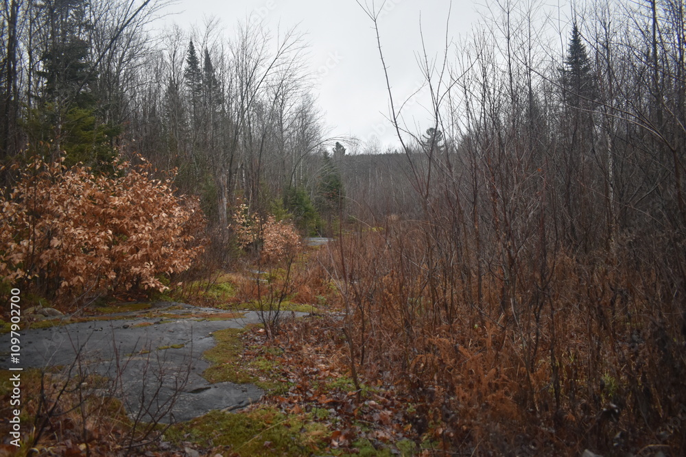 Fototapeta premium Sentier National St Mathieu Du Parc