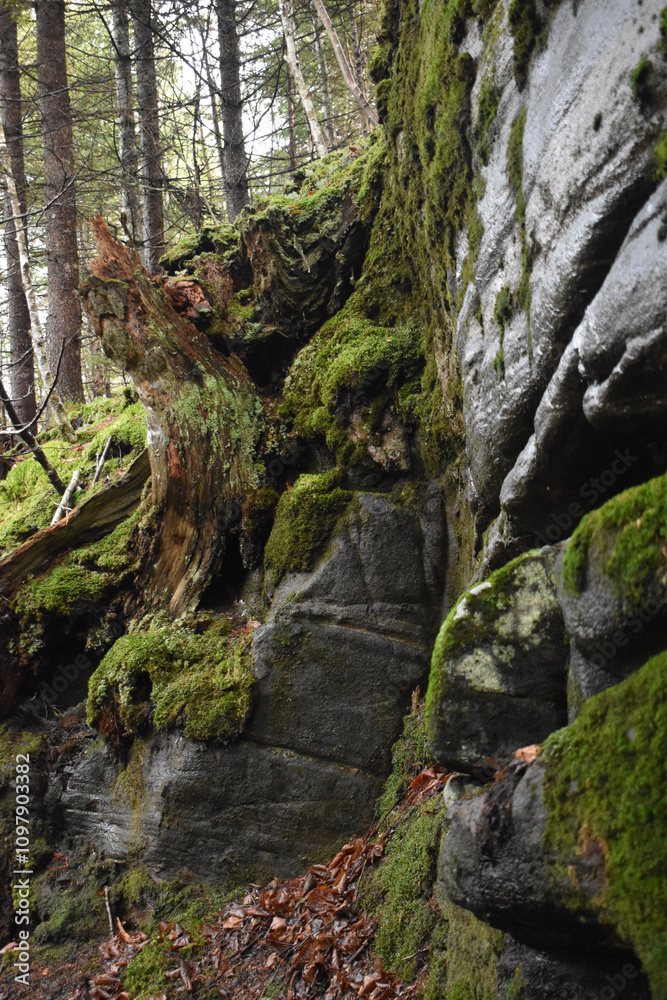 Sentier National St Mathieu Du Parc Sentier National St Mathieu Du Parc