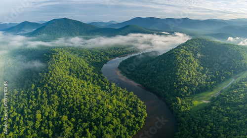 Tropical Jungle Panorama in Southeast Asia