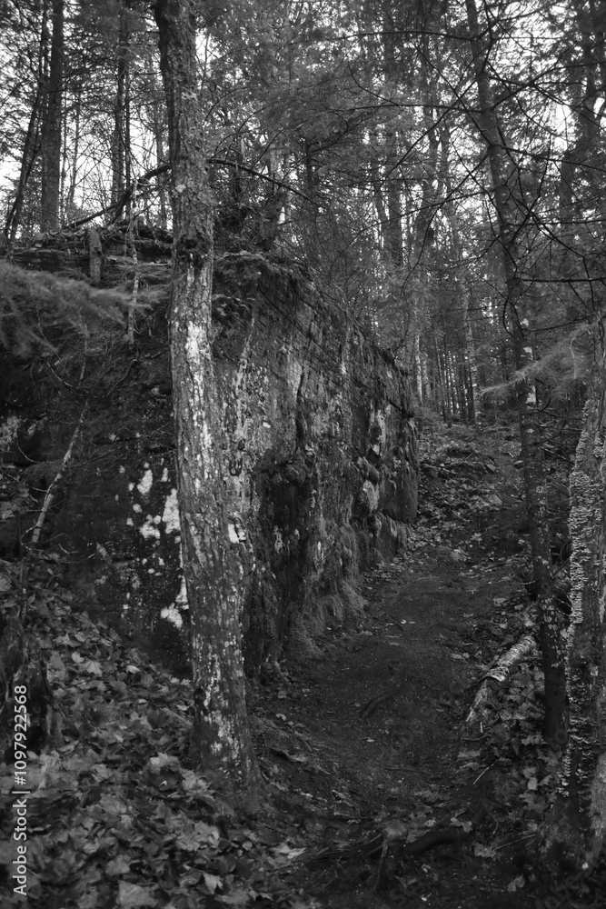Fototapeta premium Sentier National St Mathieu Du Parc - n&b