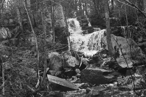 Sentier National St Mathieu Du Parc - n&b photo