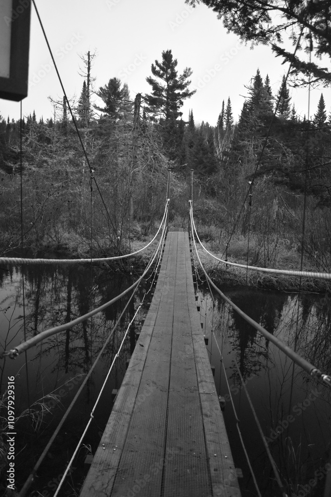 Obraz premium Sentier National St Mathieu Du Parc - n&b