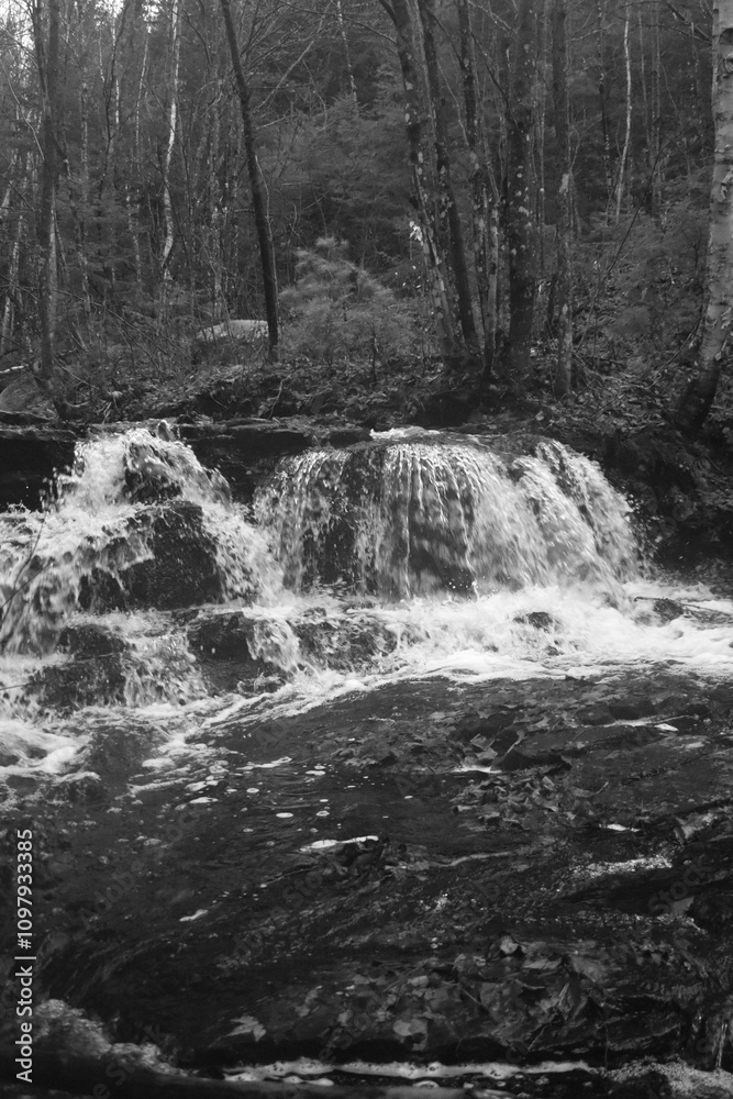 Fototapeta premium Sentier National St Mathieu Du Parc - n&b
