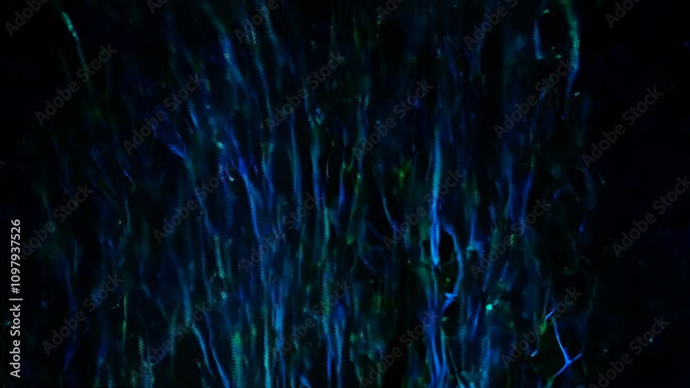 Efecto Abstracto de Gotas Líquidas sobre Fondo Oscuro