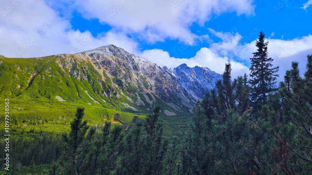 Obraz premium Tatra Mountains in winter