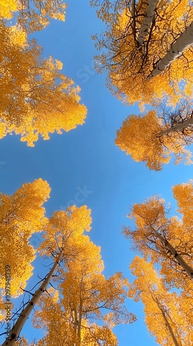 Captivating upward view of golden autumn foliage reaching toward a crisp, clear blue sky. The vibrant leaves create a stunning contrast, evoking a sense of peace and nature's beauty. AI generated. photo