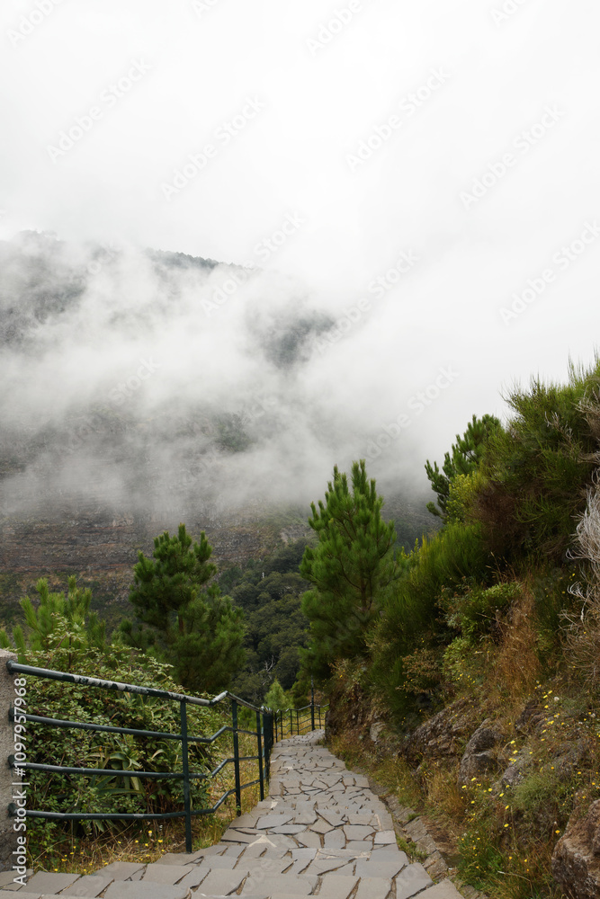 on the trail to Curral das Freiras (The Valley of the Nuns), Madeira, Portugal