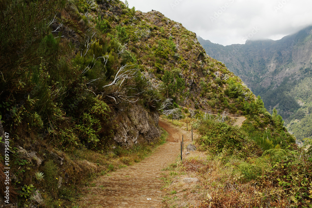 on the trail to Curral das Freiras (The Valley of the Nuns), Madeira, Portugal