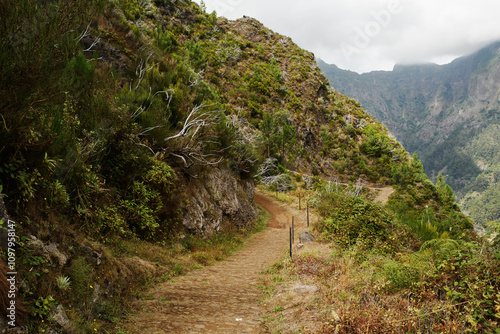 Obraz na płótnie on the trail to Curral das Freiras (The Valley of the Nuns), Madeira, Portugal w salonie