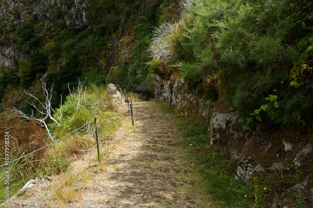 on the trail to Curral das Freiras (The Valley of the Nuns), Madeira, Portugal
