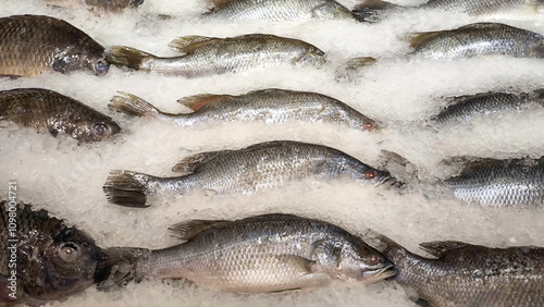 Canvas Print fresh fish on ice