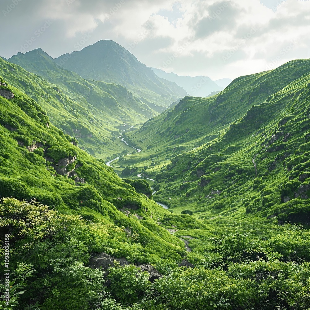 A breathtaking green valley surrounded by rolling hills and a carpet of soft green moss and ferns, hills, ferns, valley, green background A breathtaking green valley surrounded by rolling hills and a carpet of soft green moss and ferns, hills, ferns, valley, green background