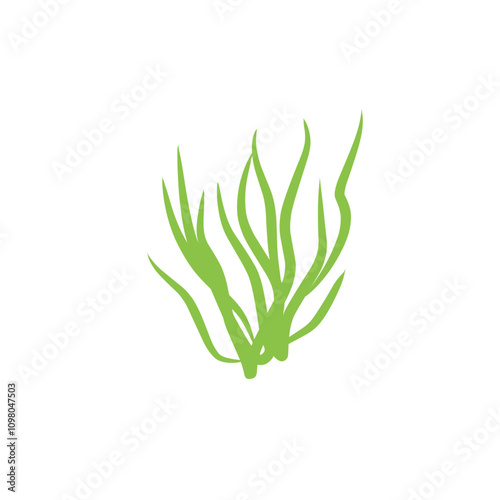 seaweed plants