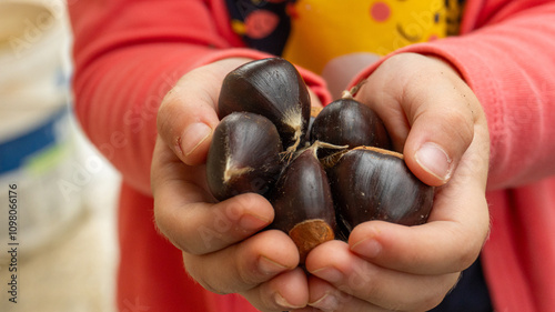Little boy holding chestnuts in his hand
