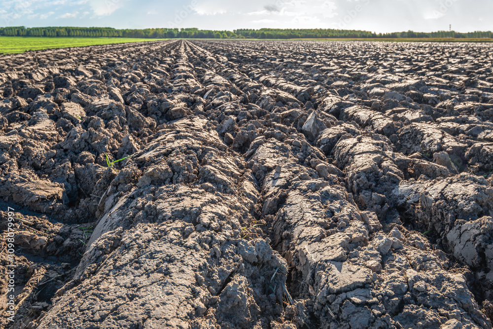 Freshly ploughed heavy clay soil in a Dutch polder. The photo was taken on a slightly cloudy day at the beginning of the autumn season.