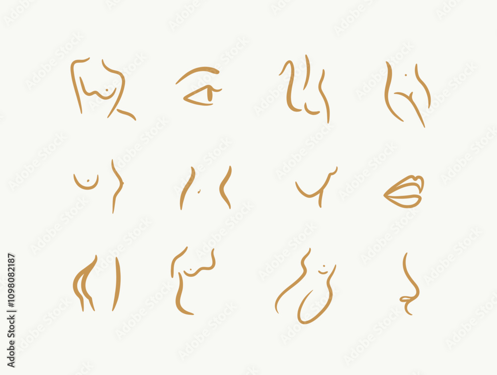 Body parts drawing in linear art style with beige on light background