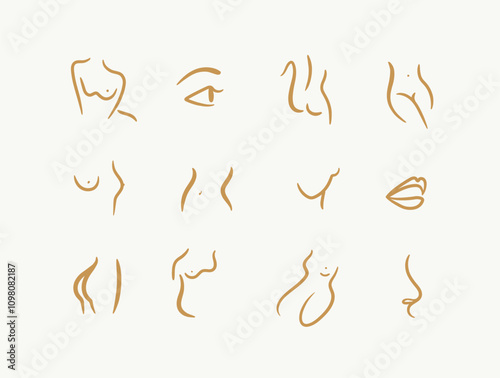 Obraz na płótnie Body parts drawing in linear art style with beige on light background w salonie