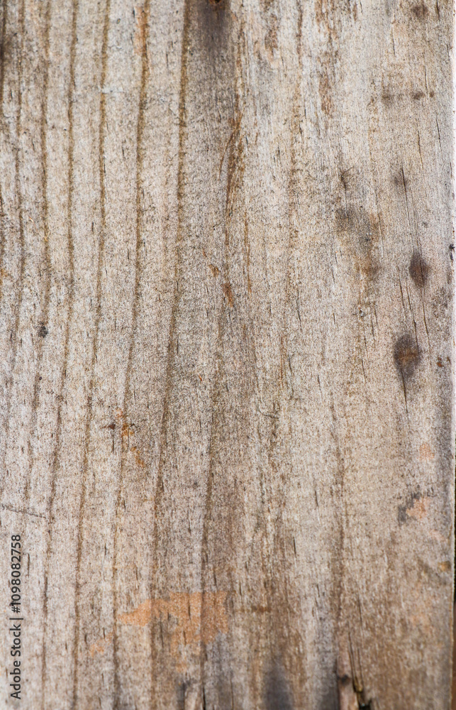 Fototapeta premium old texture