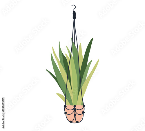 Macrame hanging plant in pot. Garden house indoor hanger flowerpot. Hanging home plant for interior decor. Vector flat illustration