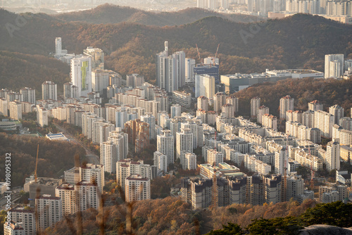 cityscape full of apartments