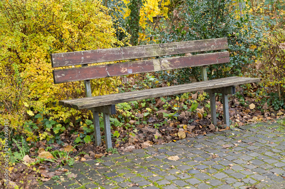Old wooden bench resting in a peaceful autumn garden Old wooden bench resting in a peaceful autumn garden