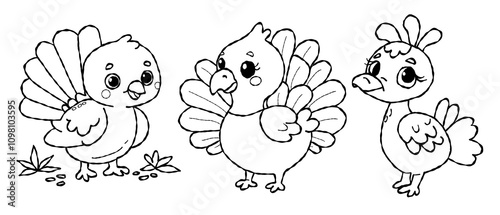 birds set outline4