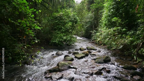 Tranquil scenery of water stream flowing through the rocks surrounded by lush foliage plants in tropical rainforest. Ton Prai Waterfall, Phang Nga Province, Thailand. photo