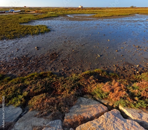 Wetlands of Ria Formosa in Fuzeta, Algarve. Portugal photo