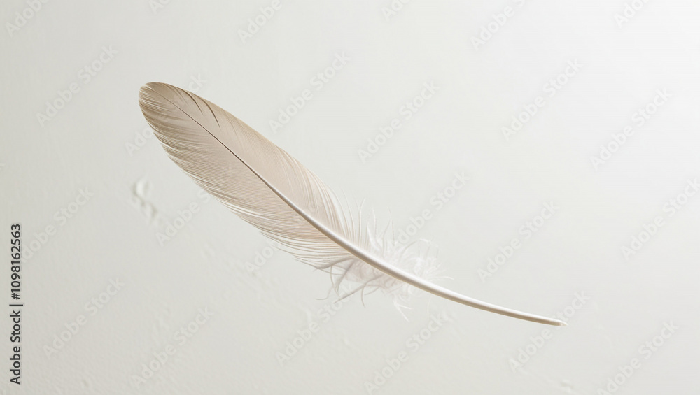 Obraz premium white feather on a blank background