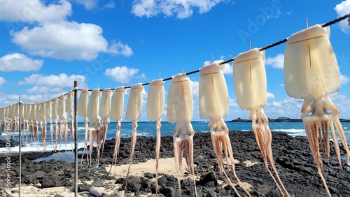 Squid, semi-dried squid, grilled squid