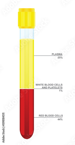 Blood sampling for lab. vector