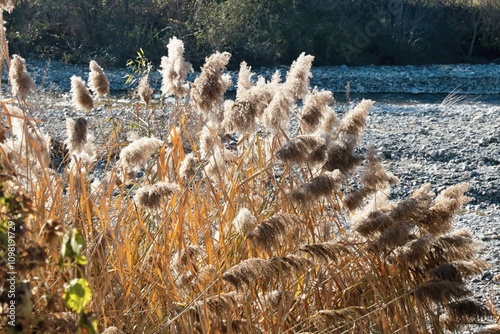 Sulla riva del torrente Staffora (Varzi) photo