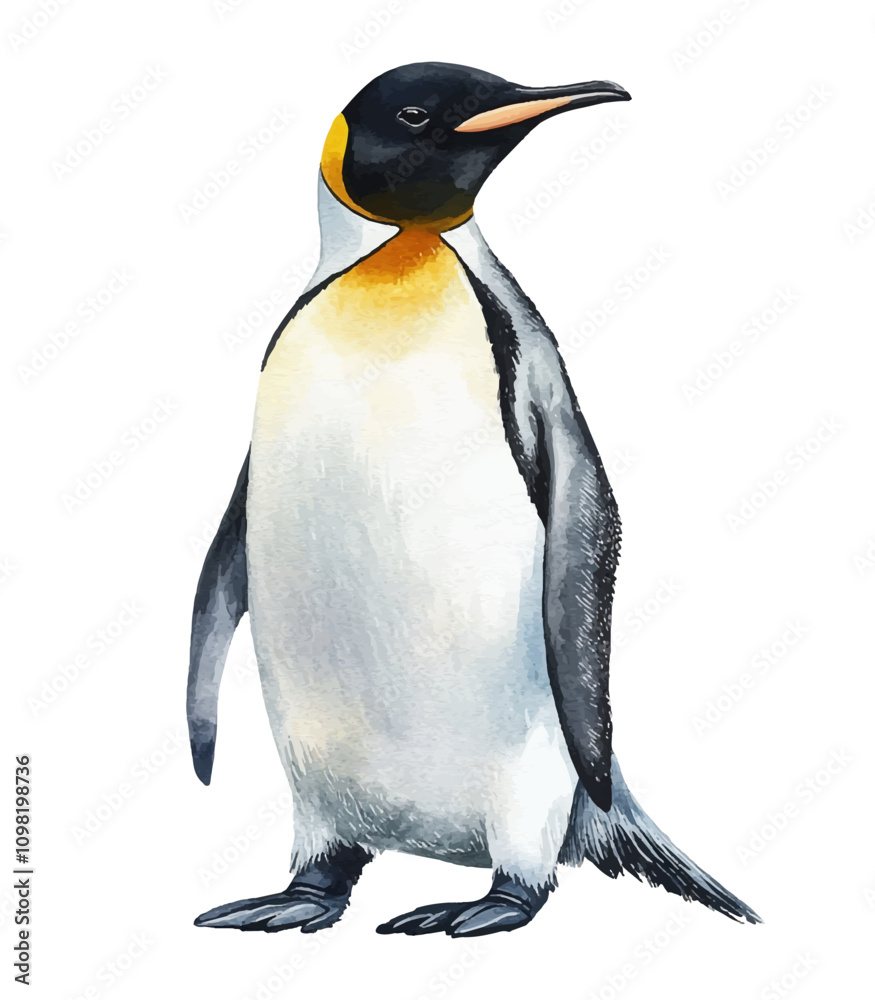 Obraz premium penguin.eps