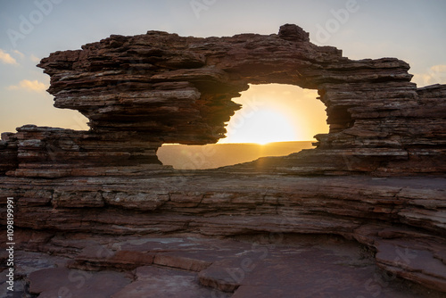 Natures window